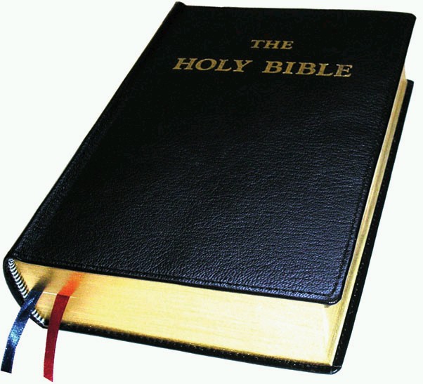 bible books bible books