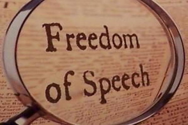 freedom of speech meaning in english