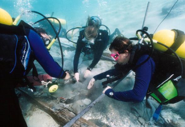 Marine biology field research jobs